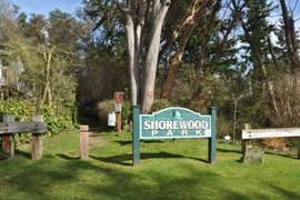 Shorewood Park Clean Up